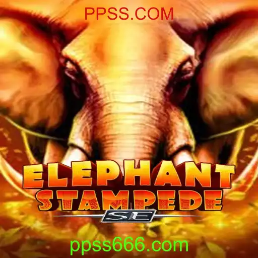 Descubra o Universo de ElephantStampedeSE